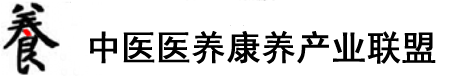 操大胖女人逼视频